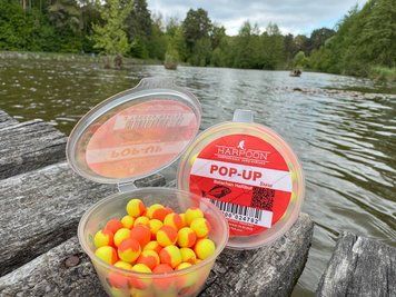 Бойл HARPOON Pop UP 8мм Жовто-оранжевий Belachan Halibut